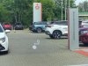 img-20250618-143947397-hdr.jpg